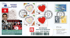 PE599a : 17.01.2011 - PAP reco Session PE "Tunisie : démission du Président Ben Ali"