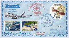 A380-174T6 : 2011 - FFC ÉMIRATS ARABES UNIS "A380 Air France - 1er Vol Dubaï-Paris"