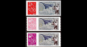 PE517N1-3a : 2006 - TP perso. FRANCE Flight for Europe - Vol pour l'Europe